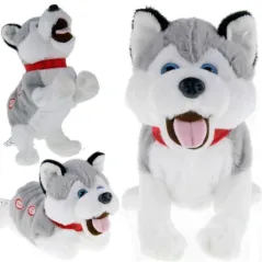 Maskotka Interaktywna Figo Pies Reagujący Na Komendy Husky Zabawka Edukacyjna Madej 3+