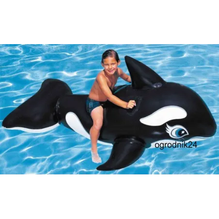 Dmuchana Orka Zabawka Do Wody Dla Dzieci Intex 3+