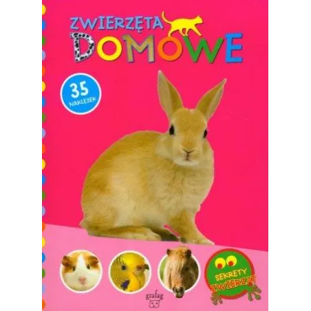 SEKRETY ZWIERZĄT ZWIERZĘTA DOMOWE