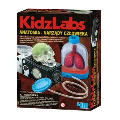 ANATOMIA NARZĄDY CZŁOWIEKA ZESTAW EDUKACYJNY – BUDOWA LUDZKIEGO CIAŁA DLA DZIECI 3+