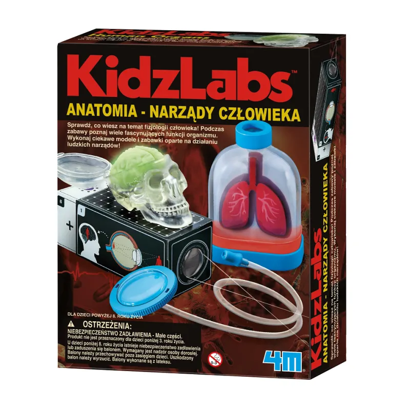 ANATOMIA NARZĄDY CZŁOWIEKA ZESTAW EDUKACYJNY – BUDOWA LUDZKIEGO CIAŁA DLA DZIECI 3+