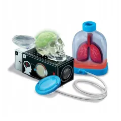 ANATOMIA NARZĄDY CZŁOWIEKA ZESTAW EDUKACYJNY – BUDOWA LUDZKIEGO CIAŁA DLA DZIECI 3+