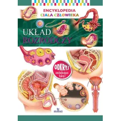 UKŁAD ROZRODCZY ENCYKLOPEDIA CIAŁA CZŁOWIEKA - Arystoteles