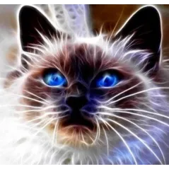 DIAMENTOWA MOZAIKA KOT MAGIC NIEBIESKIE OCZY 7+