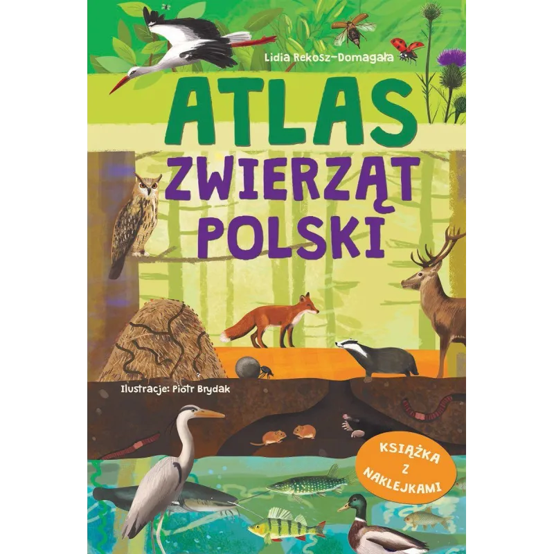 ATLAS ZWIERZĄT POLSKI. KSIĄŻKA Z NAKLEJKAMI 6+ - Olesiejuk