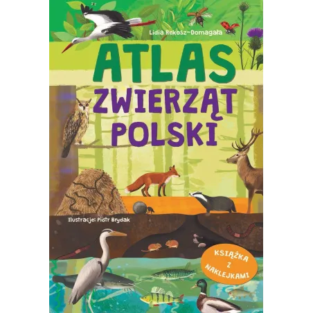 ATLAS ZWIERZĄT POLSKI. KSIĄŻKA Z NAKLEJKAMI 6+ - Olesiejuk