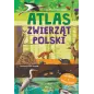 ATLAS ZWIERZĄT POLSKI. KSIĄŻKA Z NAKLEJKAMI 6+ - Olesiejuk