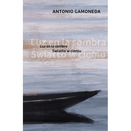 Światło W Cieniu
