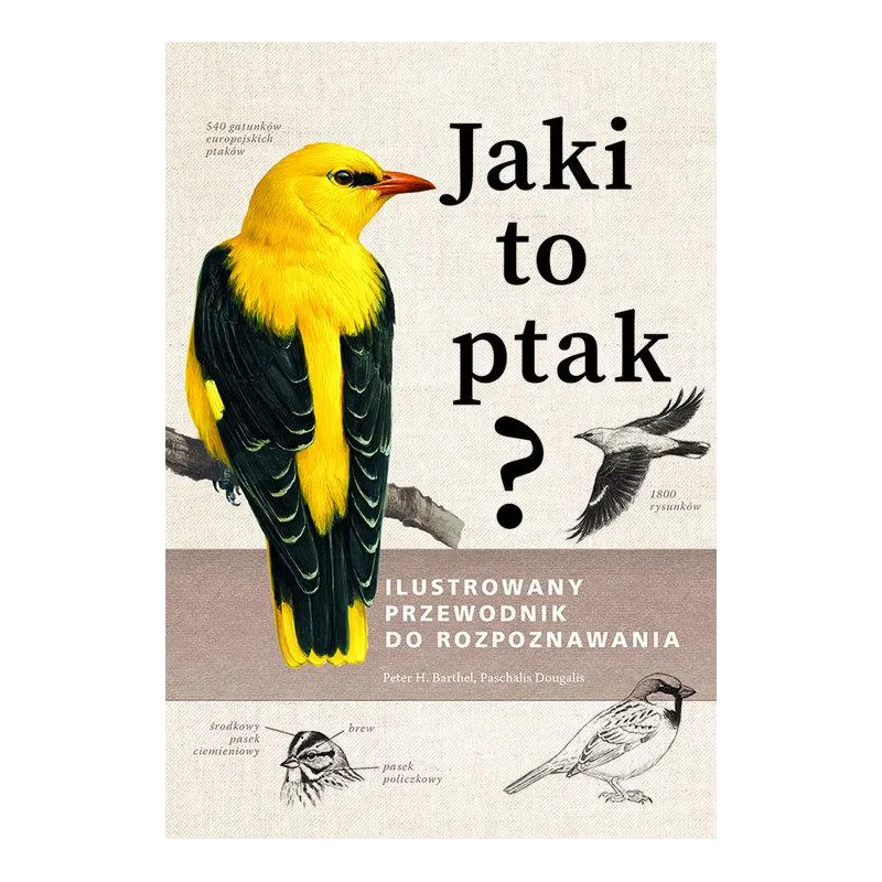 JAKI TO PTAK? ILUSTROWANY PRZEWODNIK DO ROZPOZNAWANIA