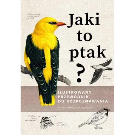 JAKI TO PTAK? ILUSTROWANY PRZEWODNIK DO ROZPOZNAWANIA