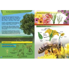 PRZYRODA ENCYKLOPEDIA ILUSTROWANA - Fenix