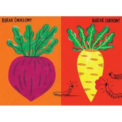 Pora Na Kalafiora 2+