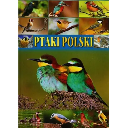Ptaki Polski