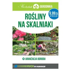 ROŚLINY NA SKALNIAKI ARANŻACJA OGRODU NIEZBĘDNIK OGRODNIKA