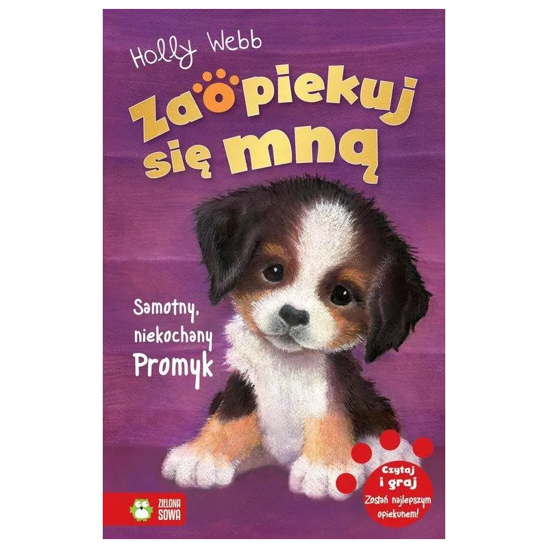 SAMOTNY NIEKOCHANY PROMYK ZAOPIEKUJ SIĘ MNĄ Holly Webb - Zielona Sowa