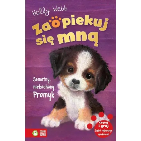 SAMOTNY NIEKOCHANY PROMYK ZAOPIEKUJ SIĘ MNĄ Holly Webb - Zielona Sowa