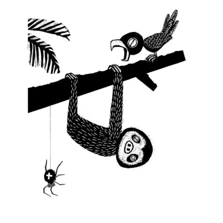 Zwierzaki Cudaki Księga Najdziwniejszych Zwierząt Świata Bibi Dumon Tak 7+