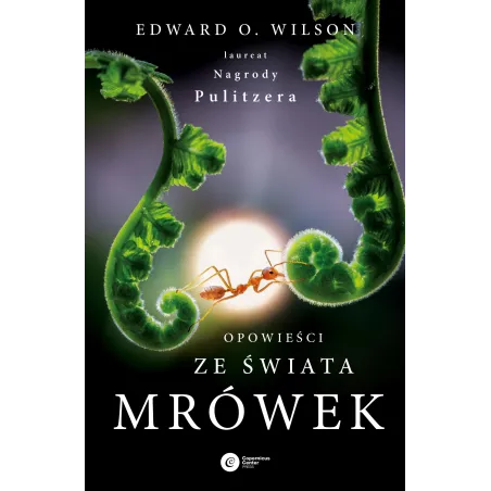 Opowieści Ze Świata Mrówek Opowieści Ze Świata Mrówek