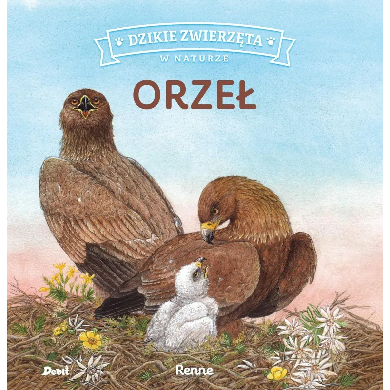 ORZEŁ DZIKIE ZWIERZĘTA W NATURZE - Debit