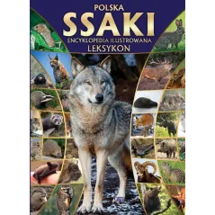 SSAKI ILUSTROWANA ENCYKLOPEDIA - Fenix