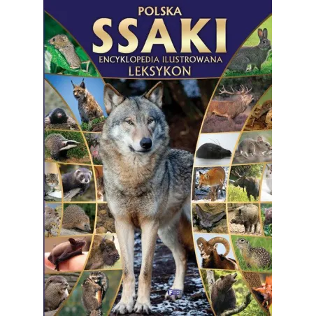 SSAKI ILUSTROWANA ENCYKLOPEDIA - Fenix