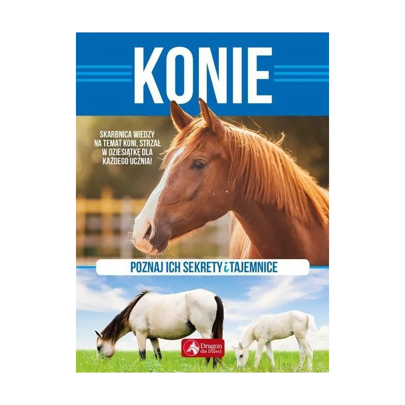 KONIE POZNAJ ICH SEKRETY I TAJEMNICE Anna Willman - Dragon