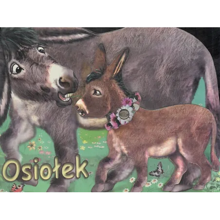 OSIOŁEK Rafał Wejner - Liwona