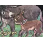 OSIOŁEK Rafał Wejner - Liwona