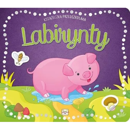 Książeczka Przedszkolaka Labirynty Książeczka Przedszkolaka Labirynty