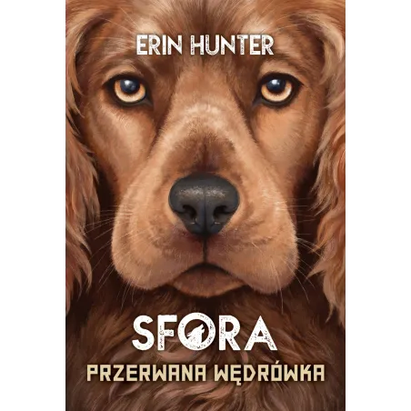 Sfora. Przerwana Wędrówka Sfora. Przerwana Wędrówka