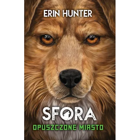 Opuszczone Miasto. Sfora