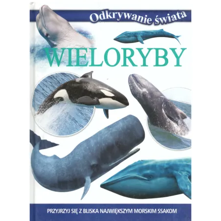 Wieloryby Odkrywanie Świata