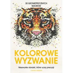 KOLOROWE WYZWANIE. NIEZWYKŁE OBRAZKI, KTÓRE UCZĄ PRECYZJI