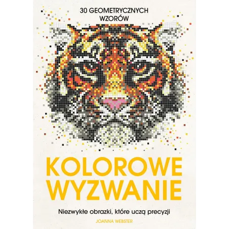 KOLOROWE WYZWANIE. NIEZWYKŁE OBRAZKI, KTÓRE UCZĄ PRECYZJI