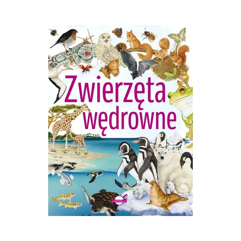 ZWIERZĘTA WĘDROWNE ZWIERZĘTA WĘDROWNE