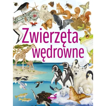 Zwierzęta Wędrowne Zwierzęta Wędrowne