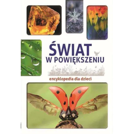 Świat W Powiększeniu Encyklopedia Dla Dzieci Karolina Wałdoch Świat W Powiększeniu Encyklopedia Dla Dzieci Karolina Wałdoch