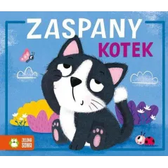 ZASPANY KOTEK HISTORYJKI HARMONIJKI - Zielona Sowa