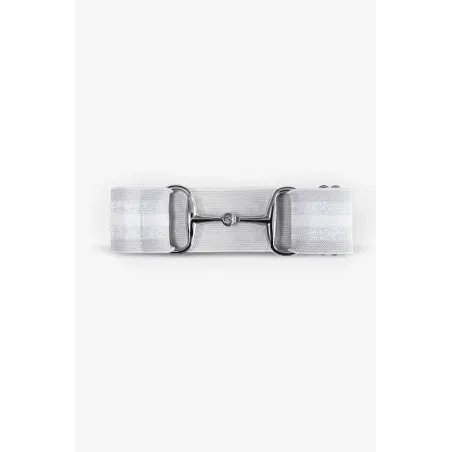 Pasek Damski W Paski Srebrny Ginny