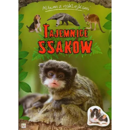 Tajemnice Ssaków. Album Z Naklejkami Tajemnice Ssaków. Album Z Naklejkami