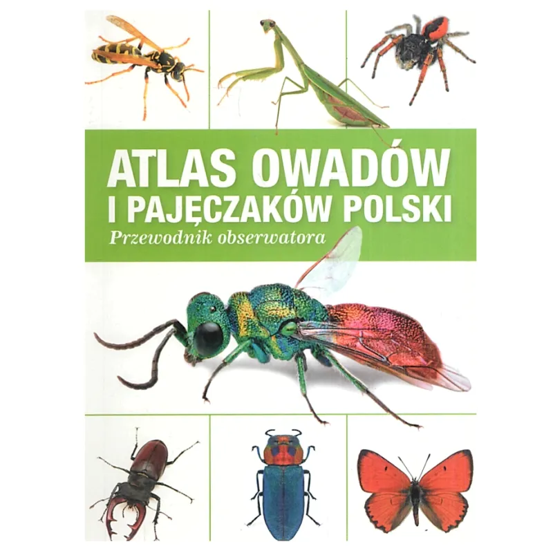 ATLAS OWADÓW I PAJĘCZAKÓW POLSKI - Ringier Axel Springer ATLAS OWADÓW I PAJĘCZAKÓW POLSKI - Ringier Axel Springer