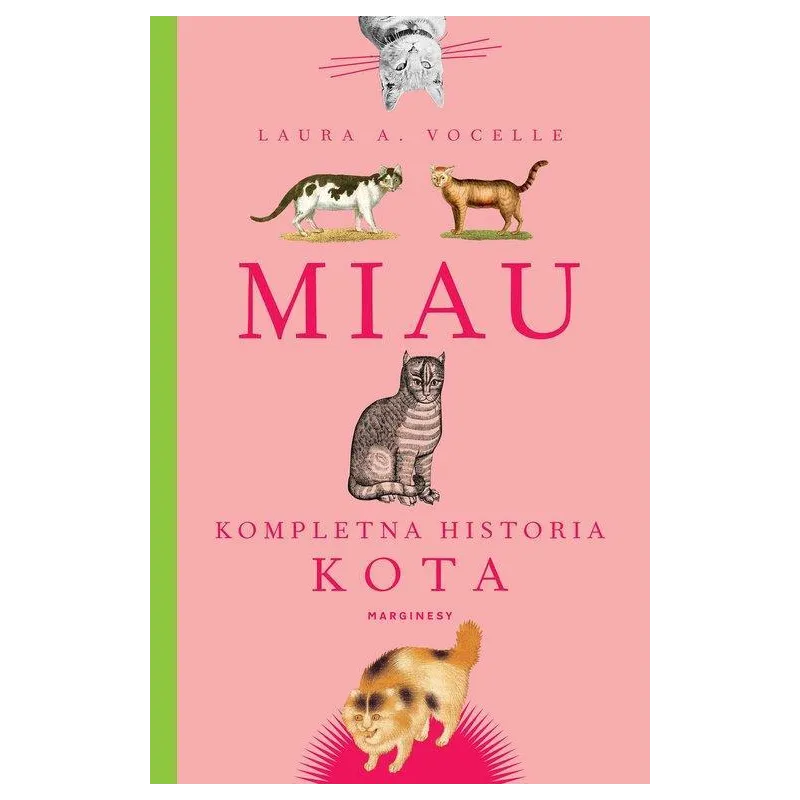 KOMPLETNA HISTORIA KOTA L.A. Vocelle - Marginesy KOMPLETNA HISTORIA KOTA L.A. Vocelle - Marginesy