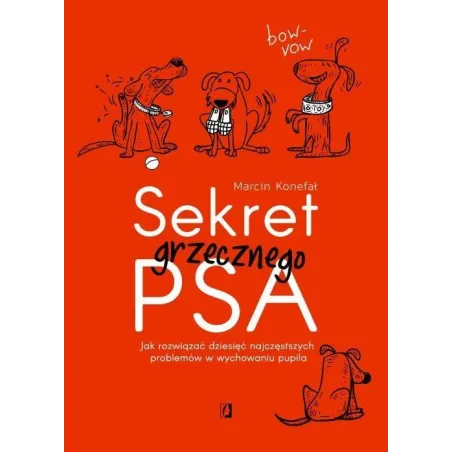 SEKRET GRZECZNEGO PSA Marcin Konefał - Kobiece