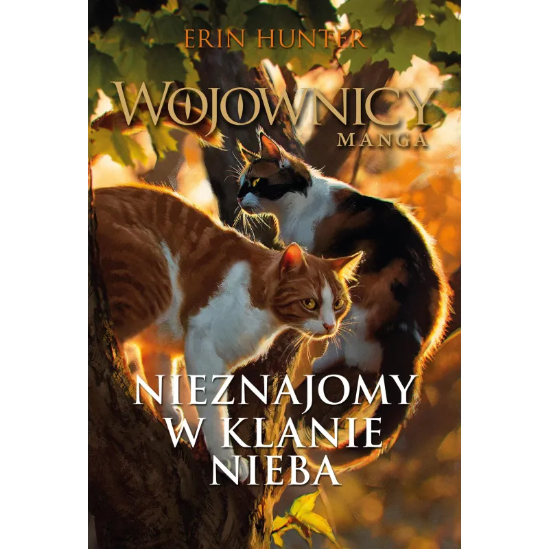 NIEZNAJOMY W KLANIE NIEBA. WOJOWNICY. MANGA