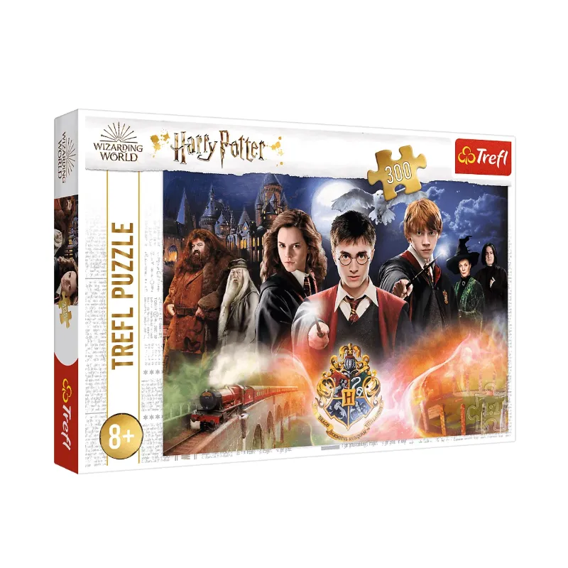TAJEMNICZY HARRY POTTER PUZZLE 300 ELEMENTÓW | 8+