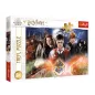 Tajemniczy Harry Potter Puzzle 300 Elementów | 8+