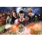 Tajemniczy Harry Potter Puzzle 300 Elementów | 8+