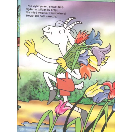 Podróże Koziołka Matołka. Koziołek Matołek W Holandii