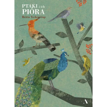 Ptaki I Ich Pióra Ptaki I Ich Pióra