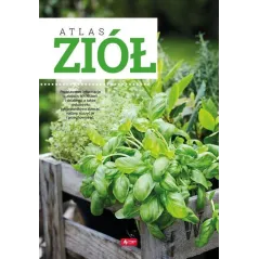 ATLAS ZIÓŁ - Dragon